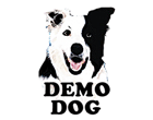 Bielsko-Biała - Demo Dog