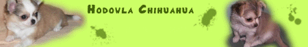 Hodowla JAN - CHI - DA