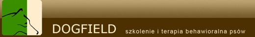 Szkolenie psów - Dogfield