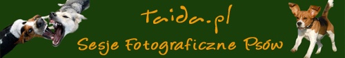 Psi fotograf